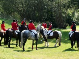 377731_10151090370218585_21194335_n